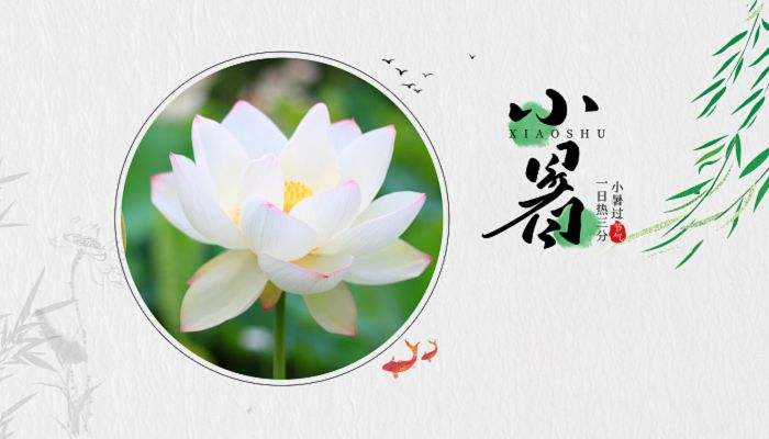 小暑来临︱三伏将至，养生的好时机，你学“废”了吗？