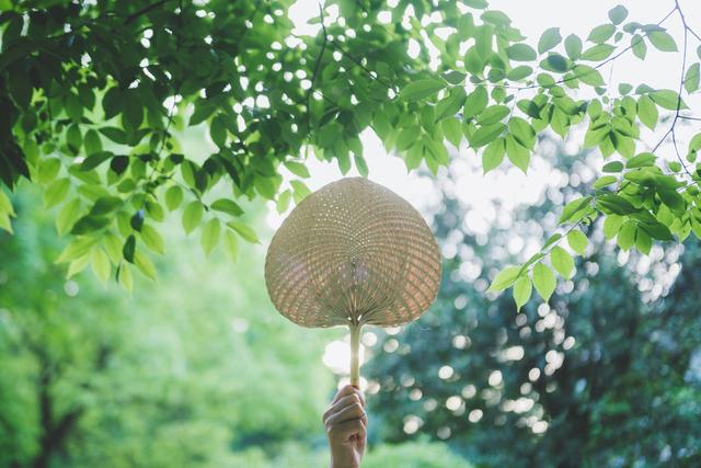 小暑来临︱三伏将至，养生的好时机，你学“废”了吗？