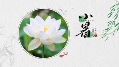 小暑来临︱三伏将至，养生的好时机，你学“废”了吗？