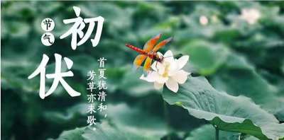 初伏防中暑 | 真正的酷夏就要来临，你准备好了吗？
