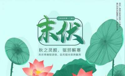 末伏虽到，“秋老虎”正盛，这些事情也要注意！