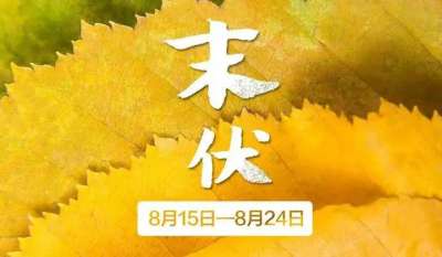 末伏来，秋凉渐至，哪些事是你没注意到的呢？