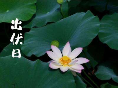 今日已出伏| 面对天气变化，孩子应该如何应对？