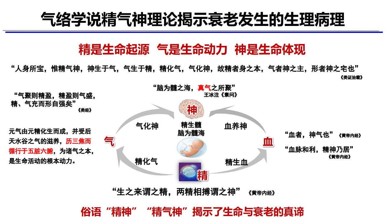 首届世界中联国际抗衰老高峰论坛发布抗衰老最新研究成果，中医气络学说精气神理论揭示衰老关键病机