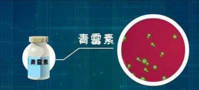 【青霉素诞生日】造福人类的青霉素
