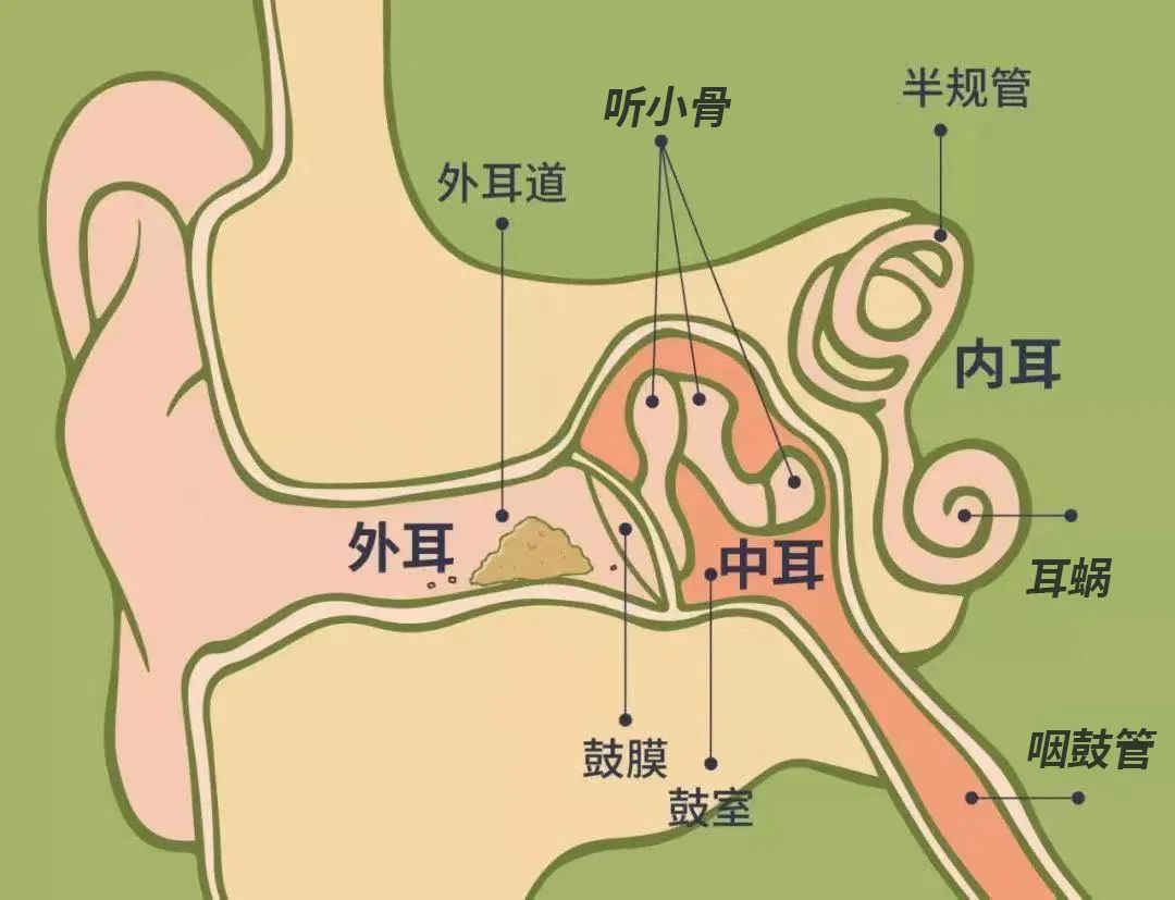 【全国爱耳日】科学爱耳护耳 自测听力健康