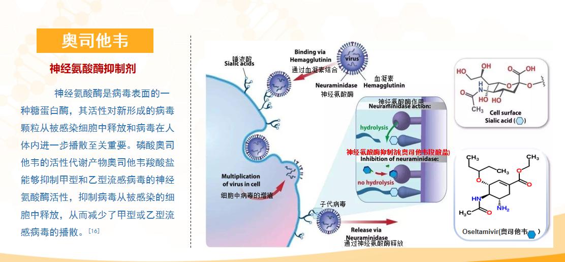 用药常识：小孩怎样服用奥司他韦颗粒？