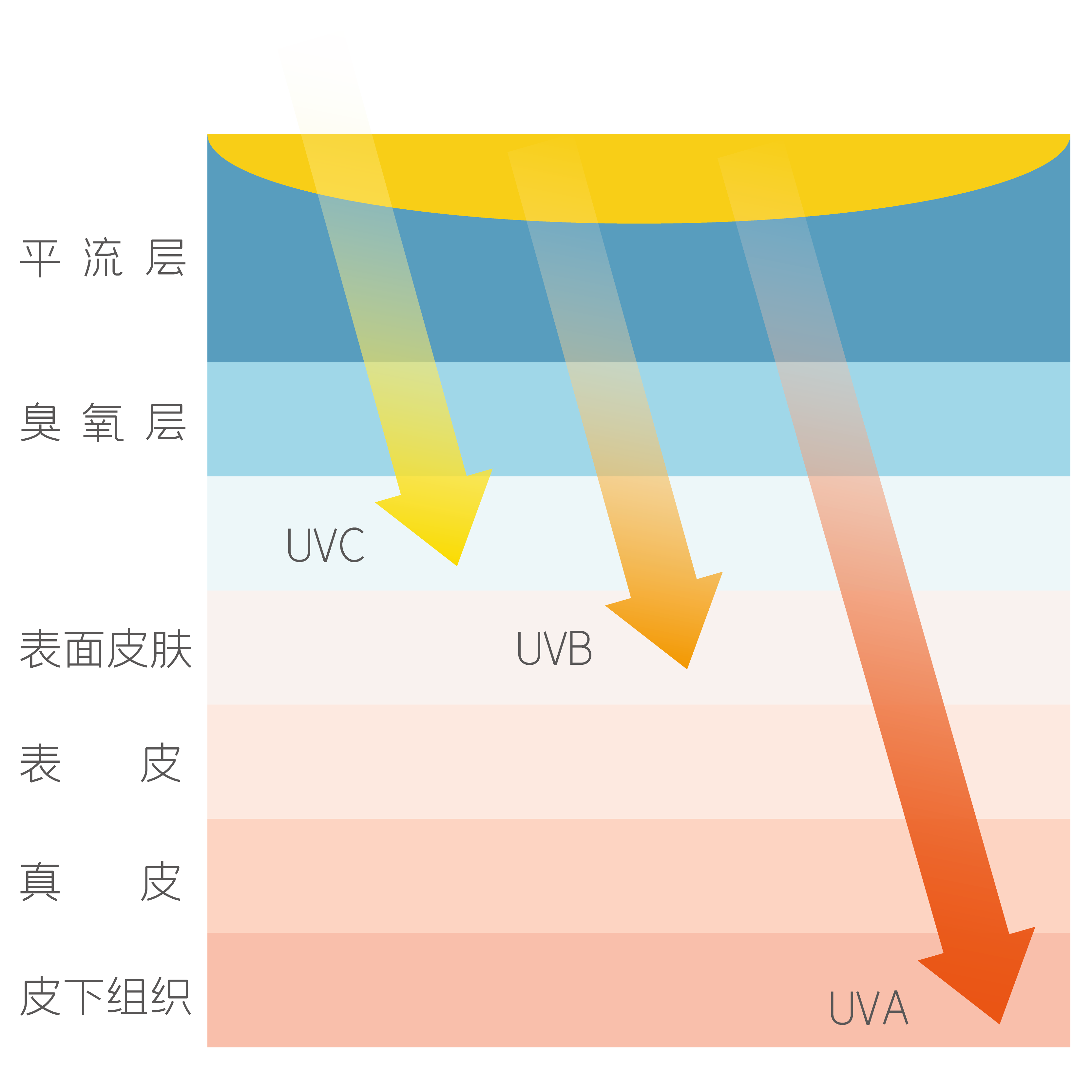 【爱肤日】初夏注意防晒，手把手教你防晒霜怎么选!