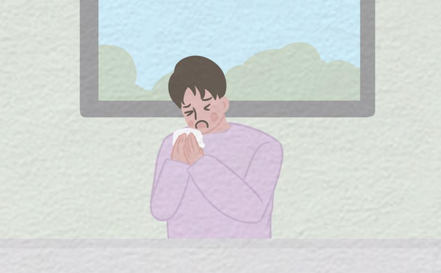柳絮纷飞咳咳不停，防过敏护呼吸道需要知道这几点！